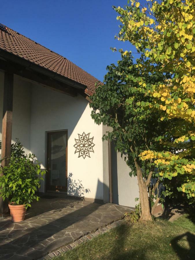 Apartment Am Stadtpark ノイマルクト・イン・デア・オーバープファルツ エクステリア 写真